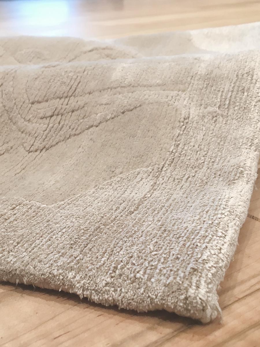 Aurea (85066) fossil detail