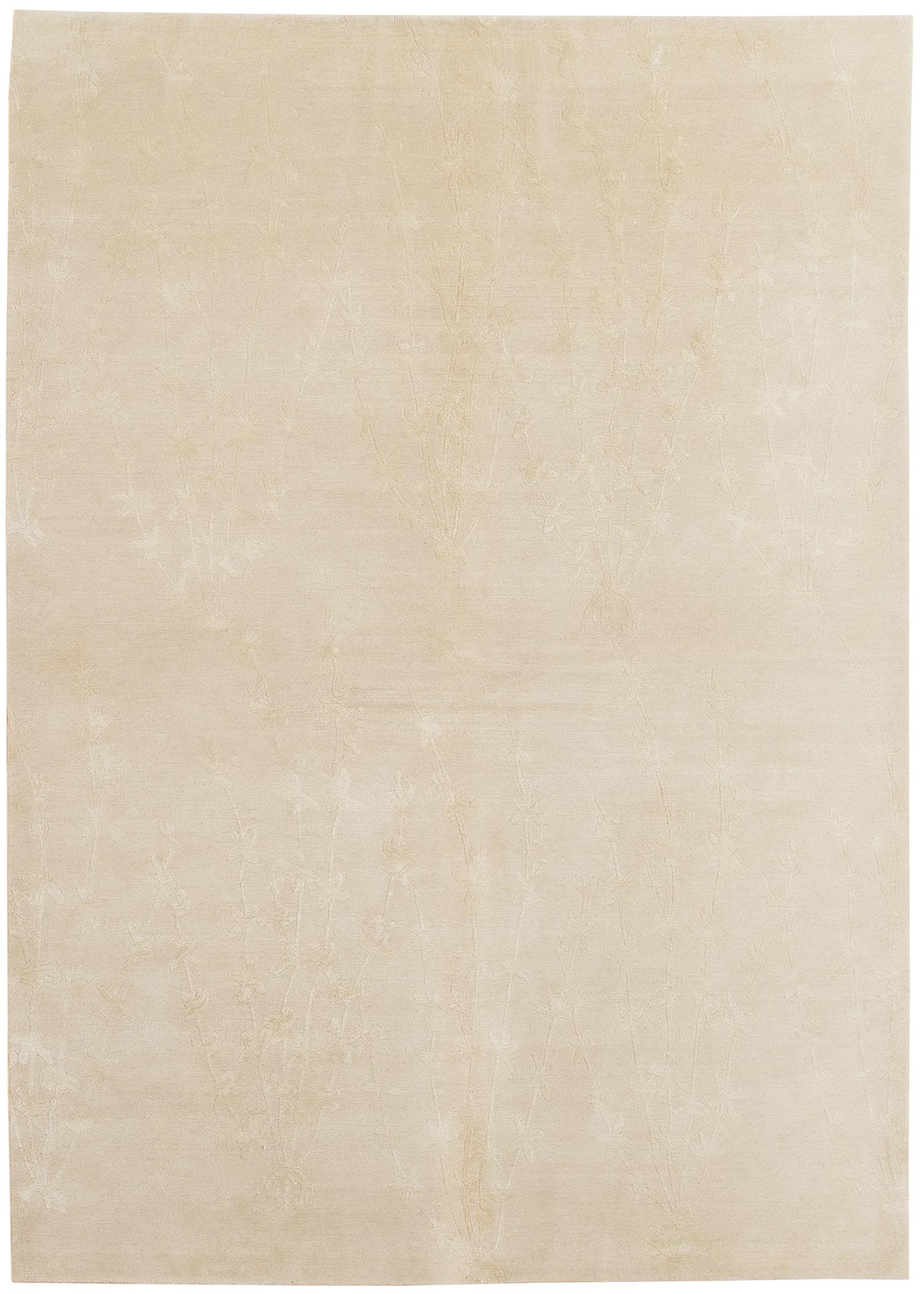 Sprouts (101447)image