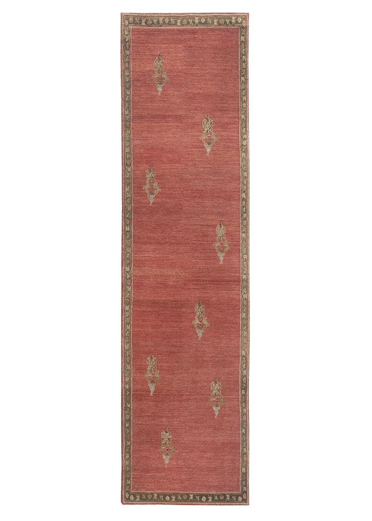 Taxila Sara (101985)image