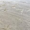 blanc detail