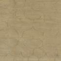 beached wood detail